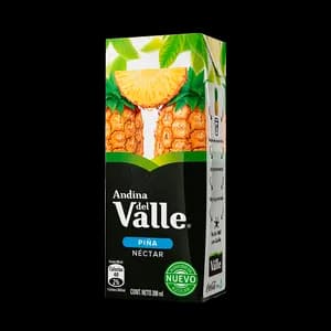 Jugo andina del valle 300ml