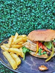 POLLO VIAJERO