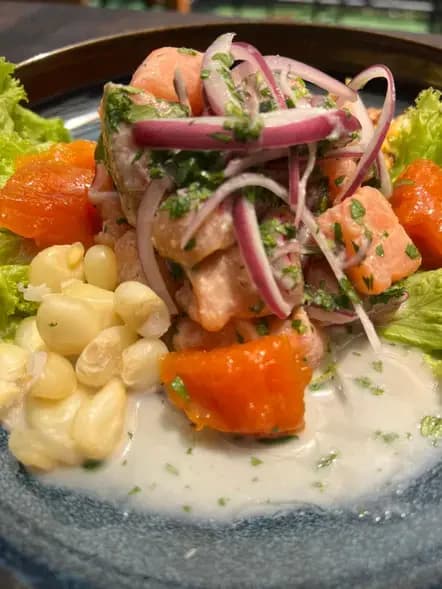 Ceviche Salmon