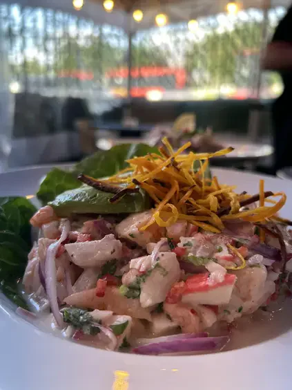 CEVICHE MIXTO