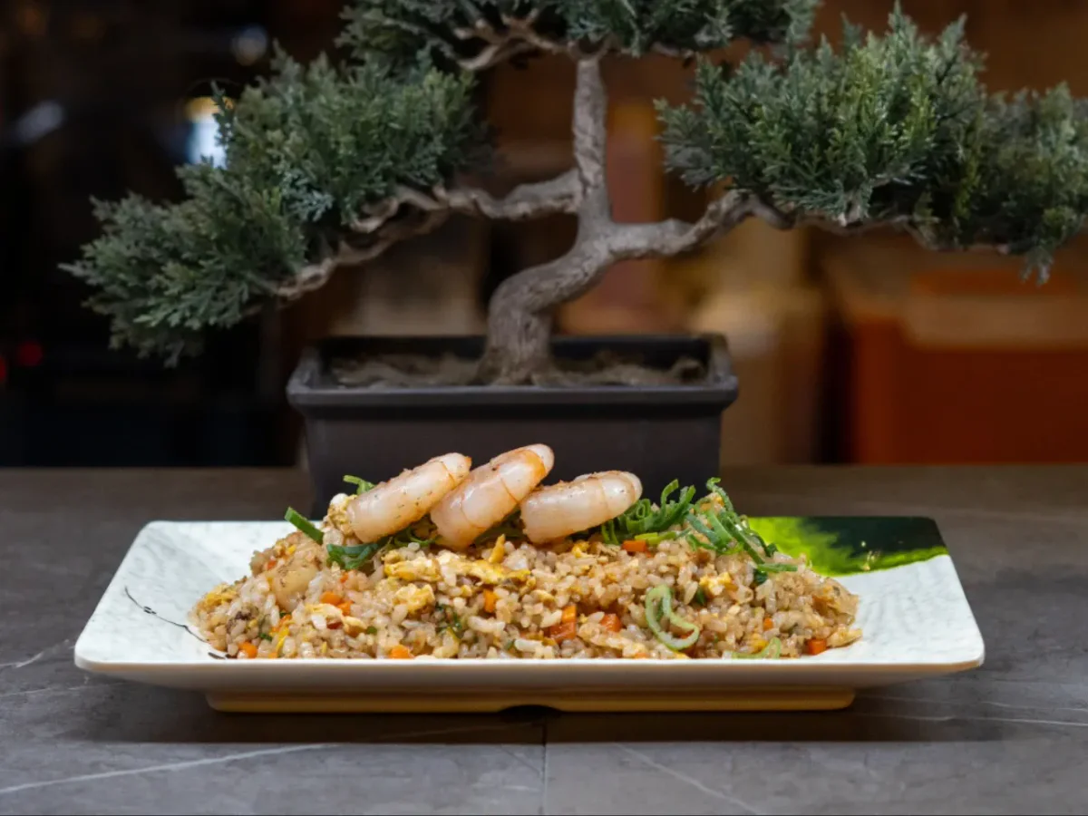 YAKIMESHI MIXTO BUTA/EBI